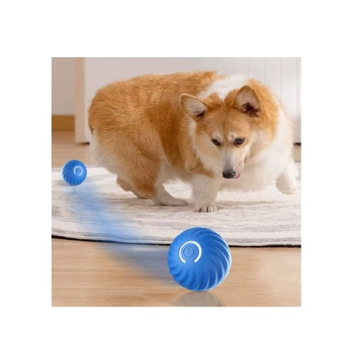 Palla Giocattolo per Animali domestici, movimento automatico e ricarica USB