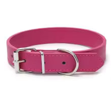 Collare per cani in pelle, tinta unita, regolabile , adatto per cani di taglia media e piccola