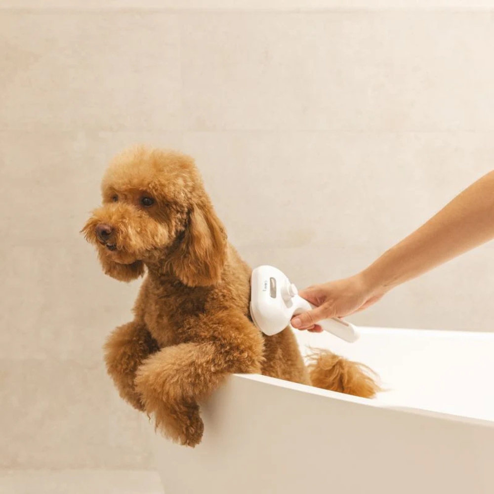 Spazzola a Vapore per Animali