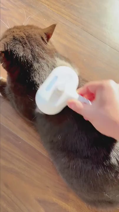 Spazzola a Vapore per Animali